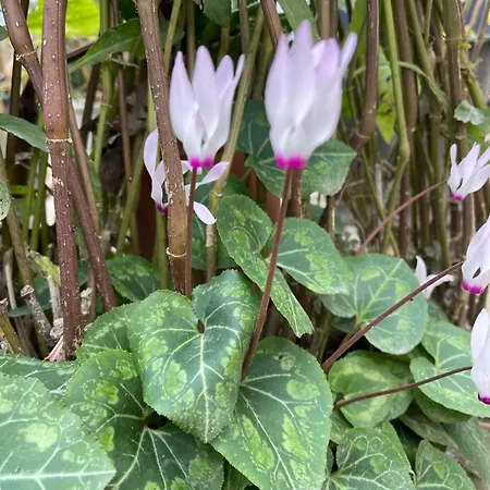 Chez Maria Hébergement de vacances *