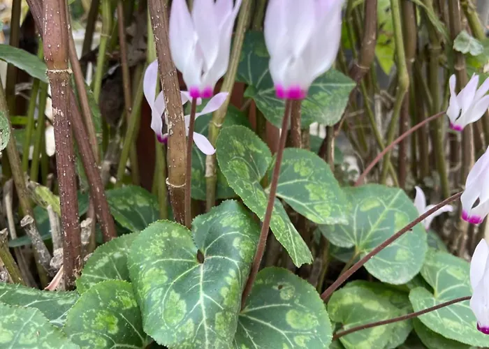Chez Maria Hébergement de vacances *